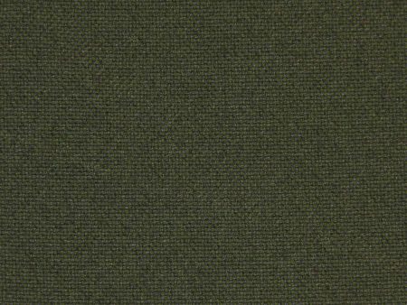 Salsa 46741-077