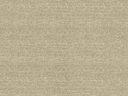 Chalco 3103-19