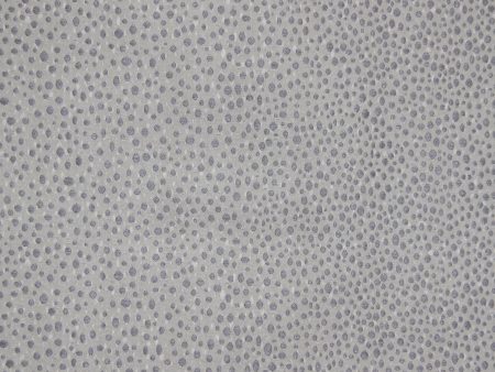 Mescolare 48851-019