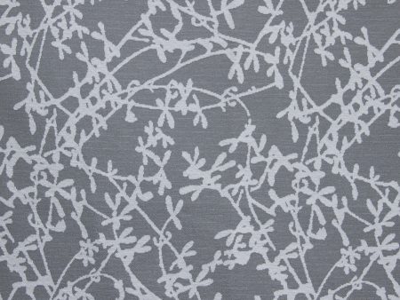 Sprig 49659-019