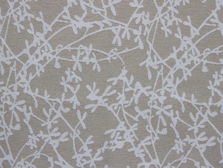 Sprig 49659-020