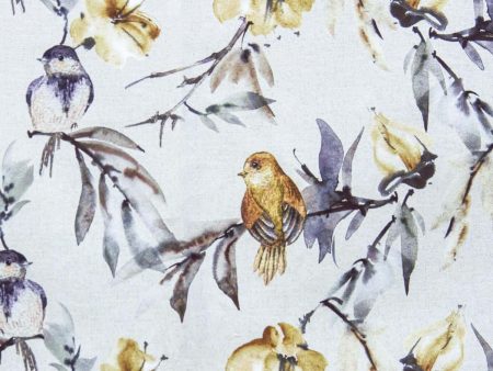 Birdie 3168-03