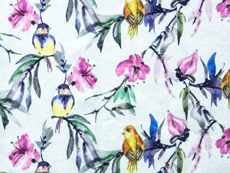 Birdie 3168-01