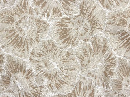 Flora 3147-01