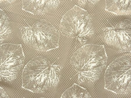 Leafy 3150-01