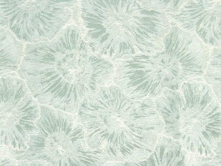 Flora 3147-04
