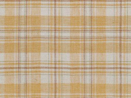 Conjure 3177 - 03