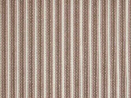 Naples 3239 - 04