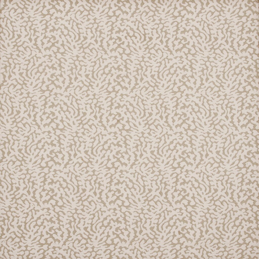 Coral 48677-021