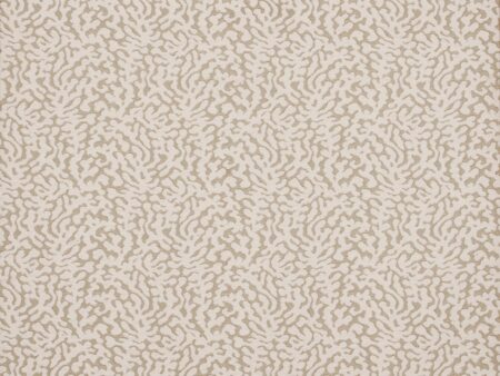 Coral 48677-021