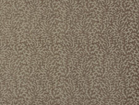 Coral 48677-026