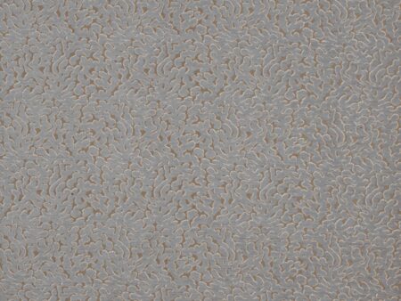 Coral 48677-029