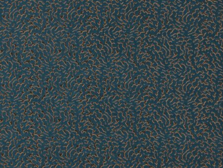 Coral 48677-076